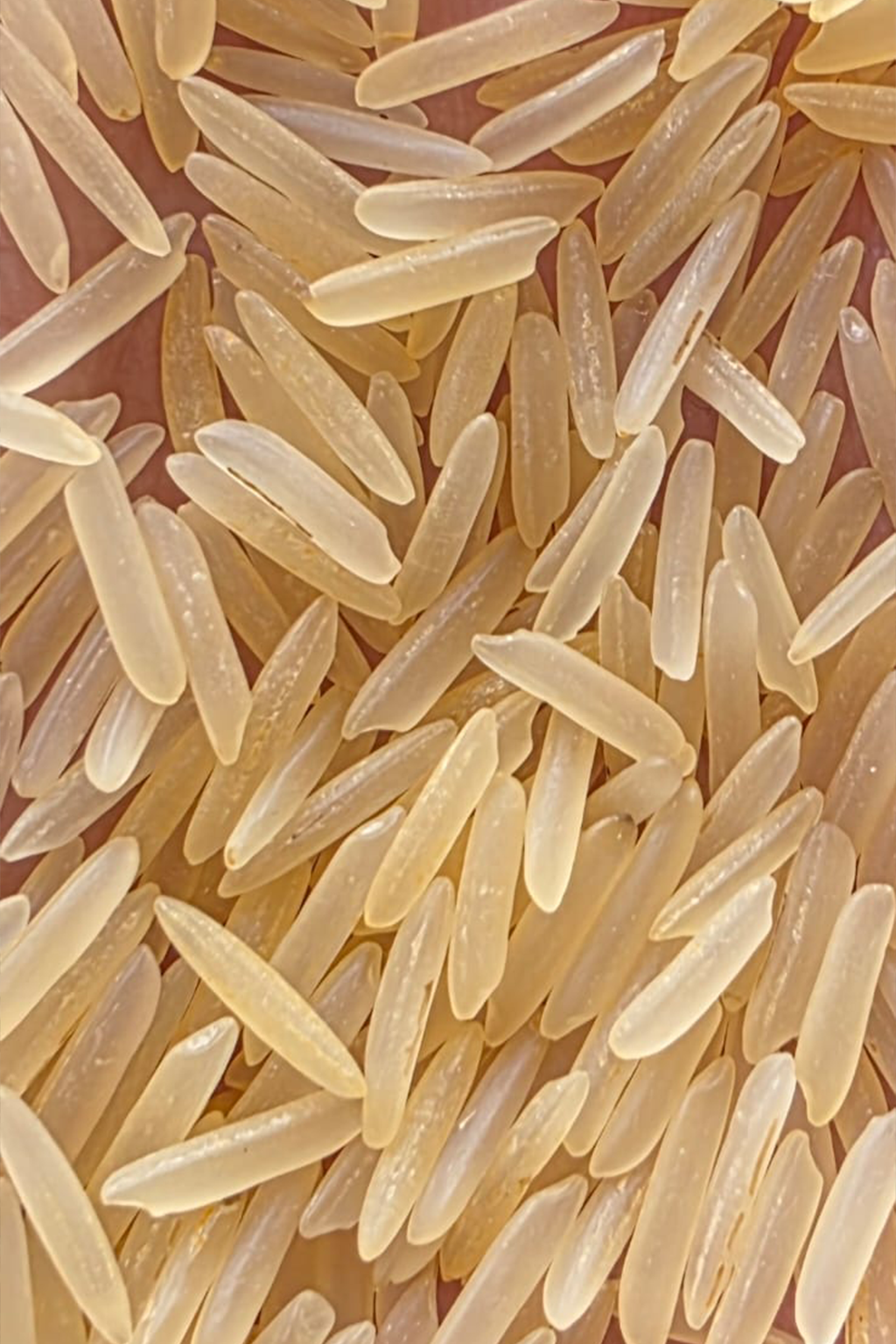 golden home