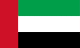 dubai flag